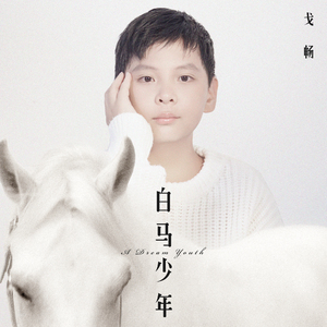 白马少年