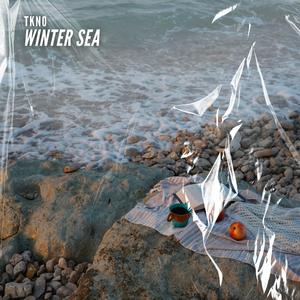Winter Sea