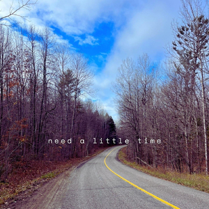 need a little time