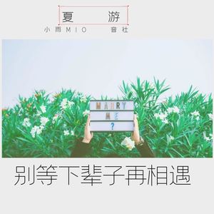 别等下辈子再相遇