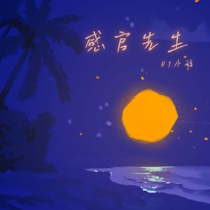 刘凤瑶-感官先生（DJ版）
