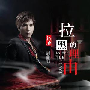 拉黑的理由 (DJ默涵版)