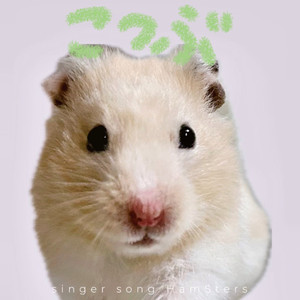 おつかれさま