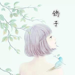 鸽子