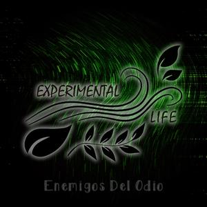 La Sorprendente Trama De Los Temas