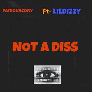 Not A Diss (feat. Lildizzy)