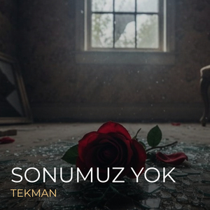 Sonumuz Yok