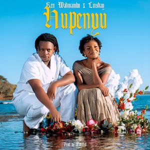 Hupenyu (feat. Linshay)