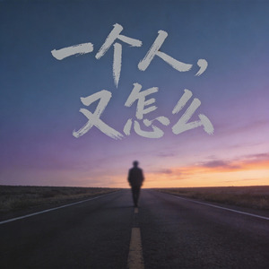 一个人，又怎么