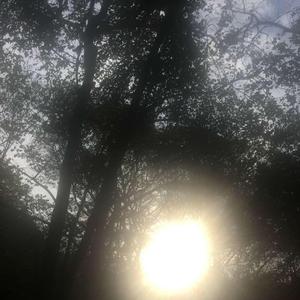 看到美好的东西 第一反应是叹口气(Prod. by Jeston)