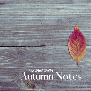 Autumn Notes