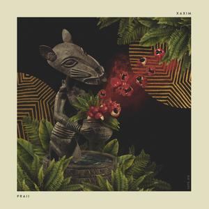 Pó de Guaraná (Kajan Chow Acid Dub Remix)