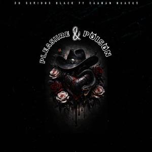 pleasure & poison