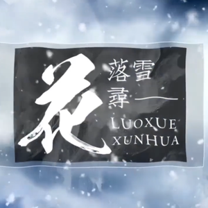 落雪寻花——《魔道祖师》蓝忘机问情曲