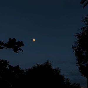 StarmoonDemo（Prod.by Rising Beat)