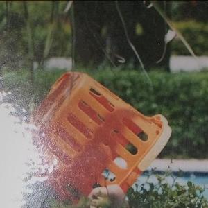 这一生关于你的风景（翻自 枯木逢春）