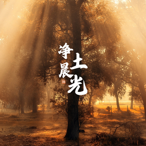 净土晨光（箜篌曲）