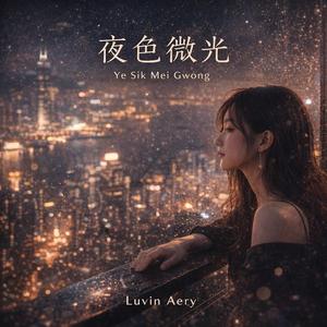 夜色微光 (Ye Sik Mei Gwong / 밤빛의 잔상)