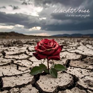 Ich bin nicht perfekt