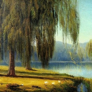 Умри, если меня не любишь (Live)