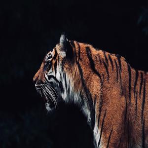 3 AMIGOS (feat. Smalls Uno & Sick Rick)