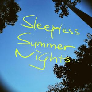 夏夜不成寐 (demo version)