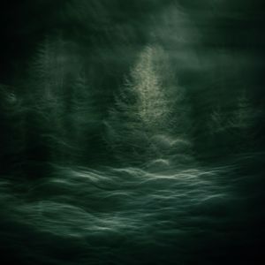 Roots Refuse Time