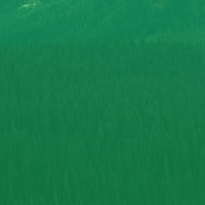 有趣周日的早午餐情怀