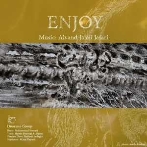 Enjoy (Live)