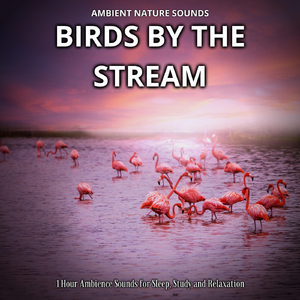 Gliding on the Breeze