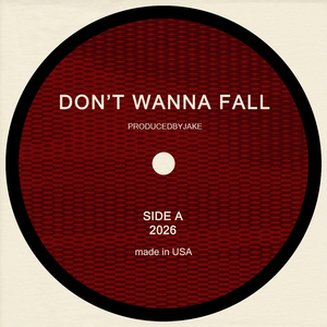 DON'T WANNA FALL