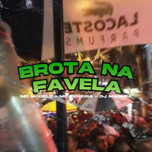 Brota na Favela