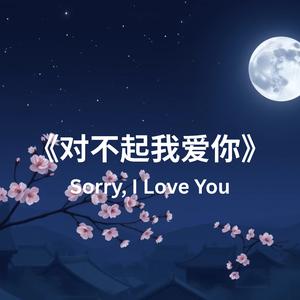 《对不起我爱你》(Sorry, I Love You)