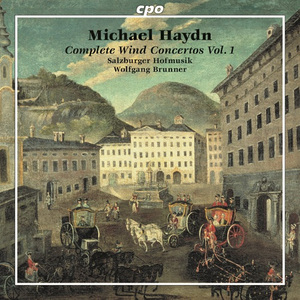 Horn Concerto in D Major, P. 134:II. Allegro non troppo