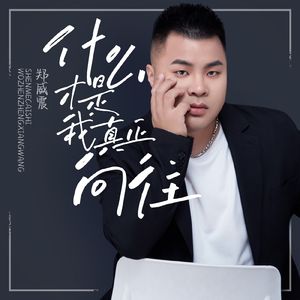 什么才是我真正向往 伴奏