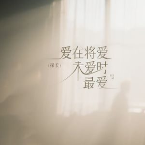 爱在将爱未爱时最爱