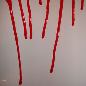 _血液.blood（prod.by lmstudio）