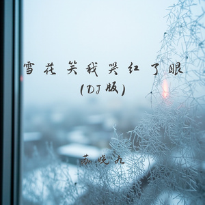 雪花笑我哭红了眼(DJ版)
