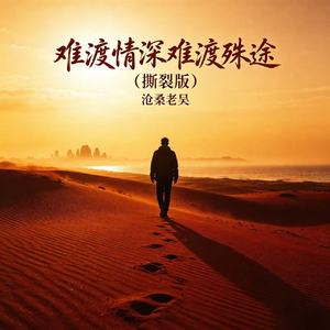 难渡情深难渡殊途(撕裂版)