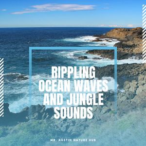 Ocean Rippling Sound