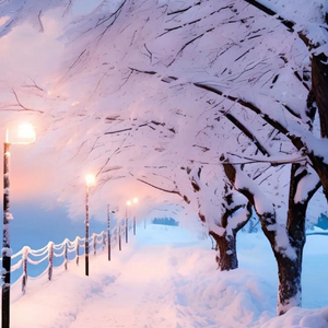 雪落冬韵