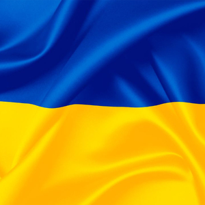 Розірване життя