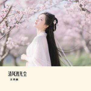 清风渡凡尘