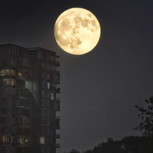 若是月亮还没来（路灯也可照窗台）