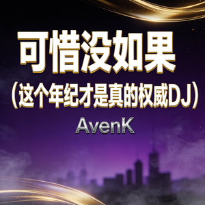 可惜没如果（这个年纪才是真的权威DJ）