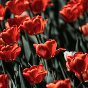 《沫》SOLO(prod.MORROW)