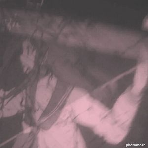 風のように忘れて