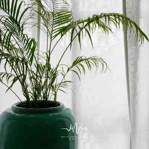 阵阵微风 (催眠曲)