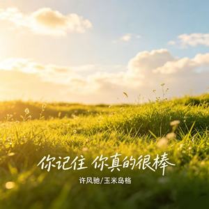 你记住 你真的很棒