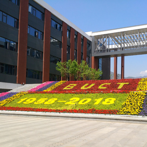 致跨越甲子流年的你